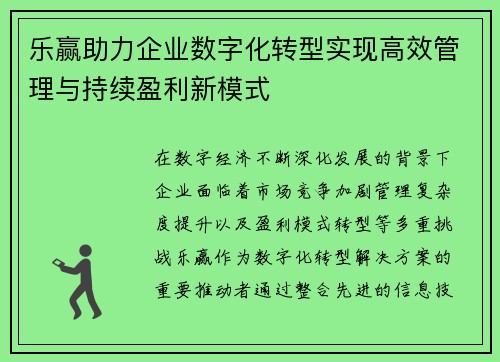 乐赢助力企业数字化转型实现高效管理与持续盈利新模式
